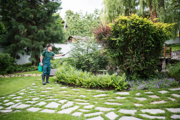 Best Pest Removal Services  in East Massapequa, NY