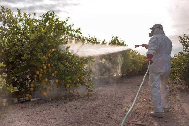 Best Pest Control for Restaurants  in East Massapequa, NY