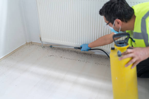 Best Termite Control Services  in East Massapequa, NY